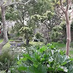 Bed & Breakfast Les Balcons Sur La Loire